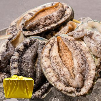 완도맘 활전복1kg(5~6미)보자기포장