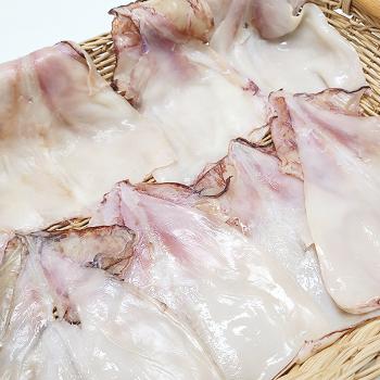 싱글즈키친 반건조오징어몸통500g(8~12미내외)