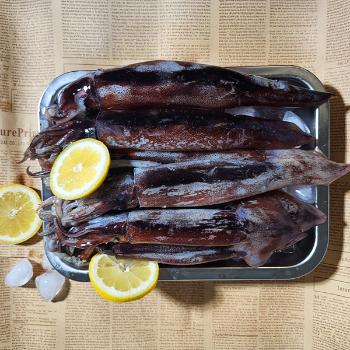 온미랑 통오징어1kg(6~10미)