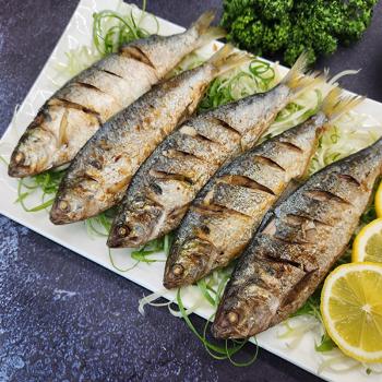 춘백이네 남해안 생물 구이용 전어1kg(8~11미내외)