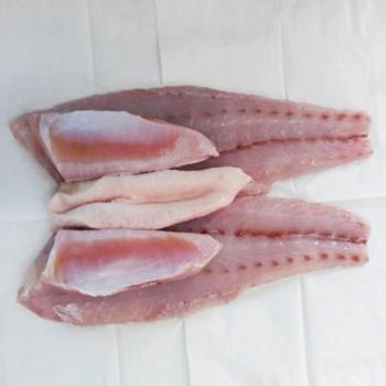 미진수산 신안 임자도 숙성 자연산 민어6kg(필렛손질)