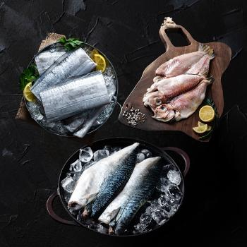 정품 제주 갈치 옥돔 고등어세트+부직포포장
(갈치300gx3마리/옥돔230gx2마리/고등어150gx5쪽)