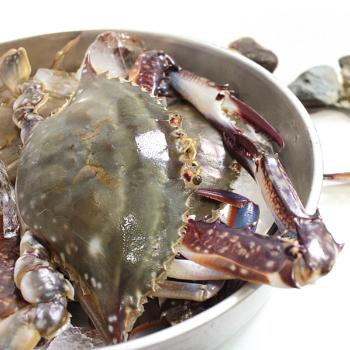 일등푸드 국내산 제철 꽃게 암수랜덤2kg(8~10미내외)