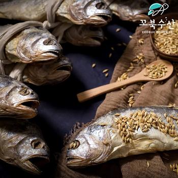 꼬북수산 영광 법성포 보리굴비10미(특대)(30cm내외)