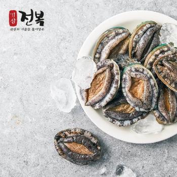 진도 기삼전복(중)1kg(13미)