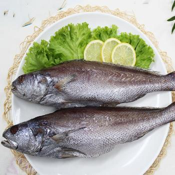 여수 화태 자연산 반건조민어5미
