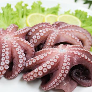 여수 화태 자연산 자숙돌문어(숙회)2kg(8~9미내외)