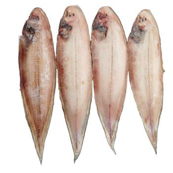 바다해찬 고소한맛 그대로 반건조 박대(소)1미(30cm내외)