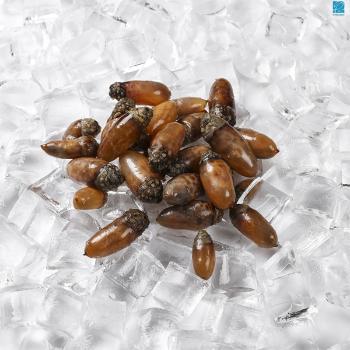 바다해찬 냉동 미더덕500g내외