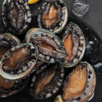 수락수산 신안 흑산도 전복1kg(9~10미내외)