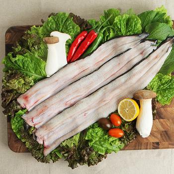 싱글즈키친 국산 자포니카 손질 풍천 민물장어750g내외(소스2종/초생강포함)