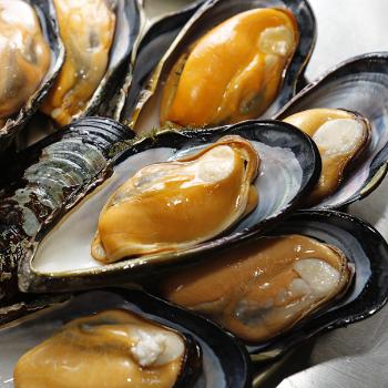 녹도 자연산 대왕홍합5kg