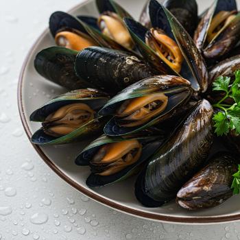 녹동수산 손질 세척 홍합3kg