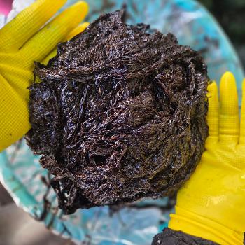 녹동수산 고흥 급냉 물김500g