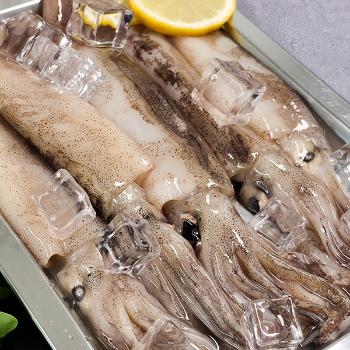 해동찬가 국내산 통찜용 한입 오징어500g(4미~8미)