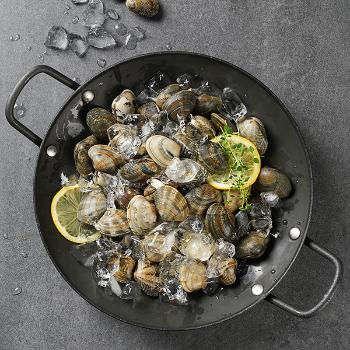 황도 국내산 생물 참바지락10kg