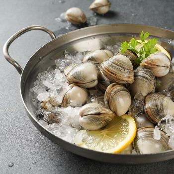 황도 국내산 생물 동죽(물총)조개5kg