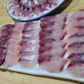 오가네 통영 자연산 방어회500g