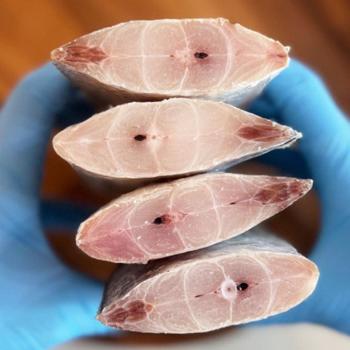 프레쉬크랩 손질 갈치(특)450~600g