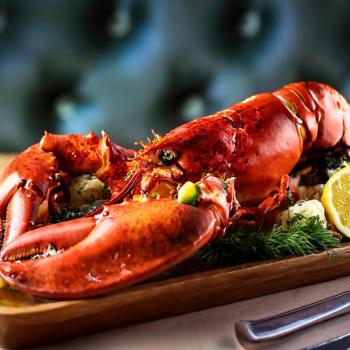 프레쉬크랩 자숙 랍스터1마리(800g~1kg)