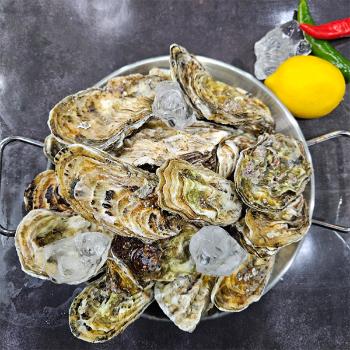 황제수산 여수 세척각굴(석화)5kg