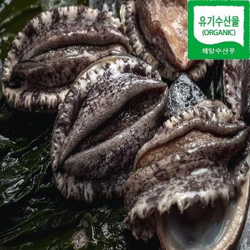 청해포구 친환경인증 유기수산 전복(특)1kg(8~9미내외)