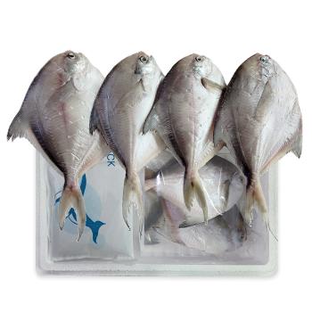 목포토방 국내산 반건조 병어4미(미당170g내외)