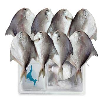 목포토방 국내산 반건조 병어8미(미당170g내외)