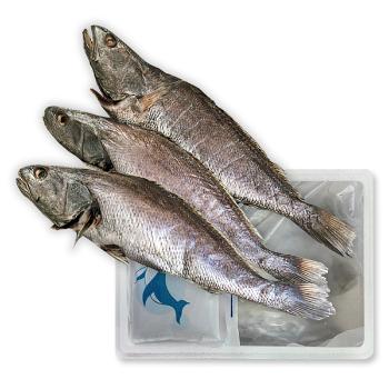 목포토방 국내산 반건조 민어400g내외(3미)