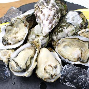 동북아 통영 쪼꼬미굴1kg(26개월/16~20미내외)