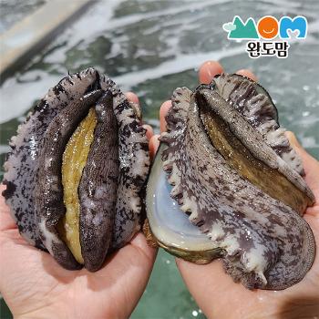 완도맘 활전복1kg(4~5미)