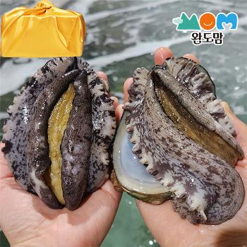 완도맘 활전복1kg(4~5미)보자기포장