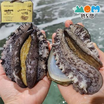 완도맘 활전복1kg(4~5미)부직포포장