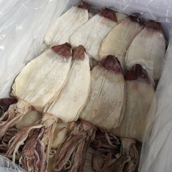 반건조 한치500g내외(12~14미)