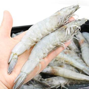 수락수산 신안 급냉 흰다리새우2kg(80~90미내외)