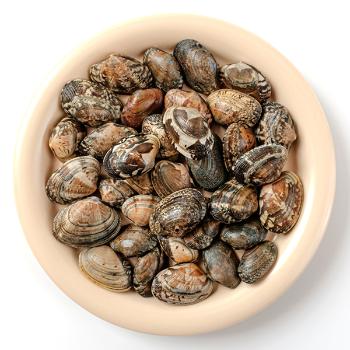 시원농수산 싱싱한 생물 바지락1kg내외