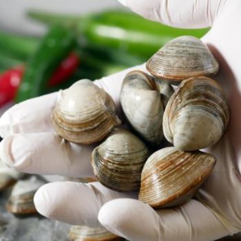 시원농수산 국내산 동죽(물총조개)1kg내외