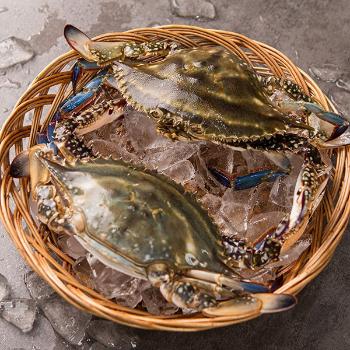 [가정의달]풀잎푸드 서해안 제철 생물 암꽃게1kg내외(3~4미내외)