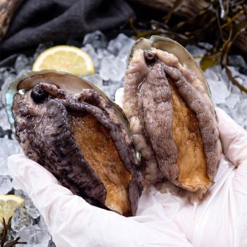 도은수산 완도 활전복1kg(13~14미내외)