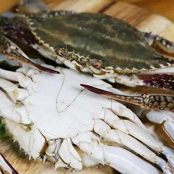 풀잎푸드 서해안 급냉 숫꽃게2kg(6~8미내외)