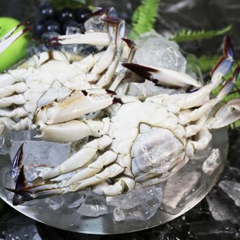풀잎푸드 서해안 급냉 암꽃게1kg(5~6미내외)