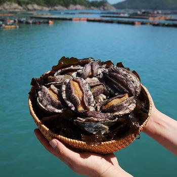 남매수산 완도 활전복1kg(18~20미내외)