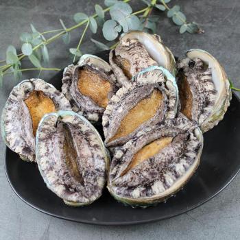 땅끝어부 산지직송 활전복(해조포장)1kg(11~12미내외)