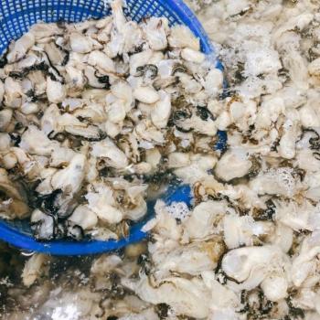 녹동수산 국내산 제철 생굴1kg
