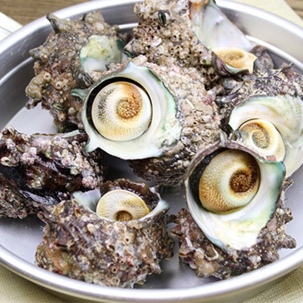통영바다마켓 자연산 뿔소라(중소)1kg