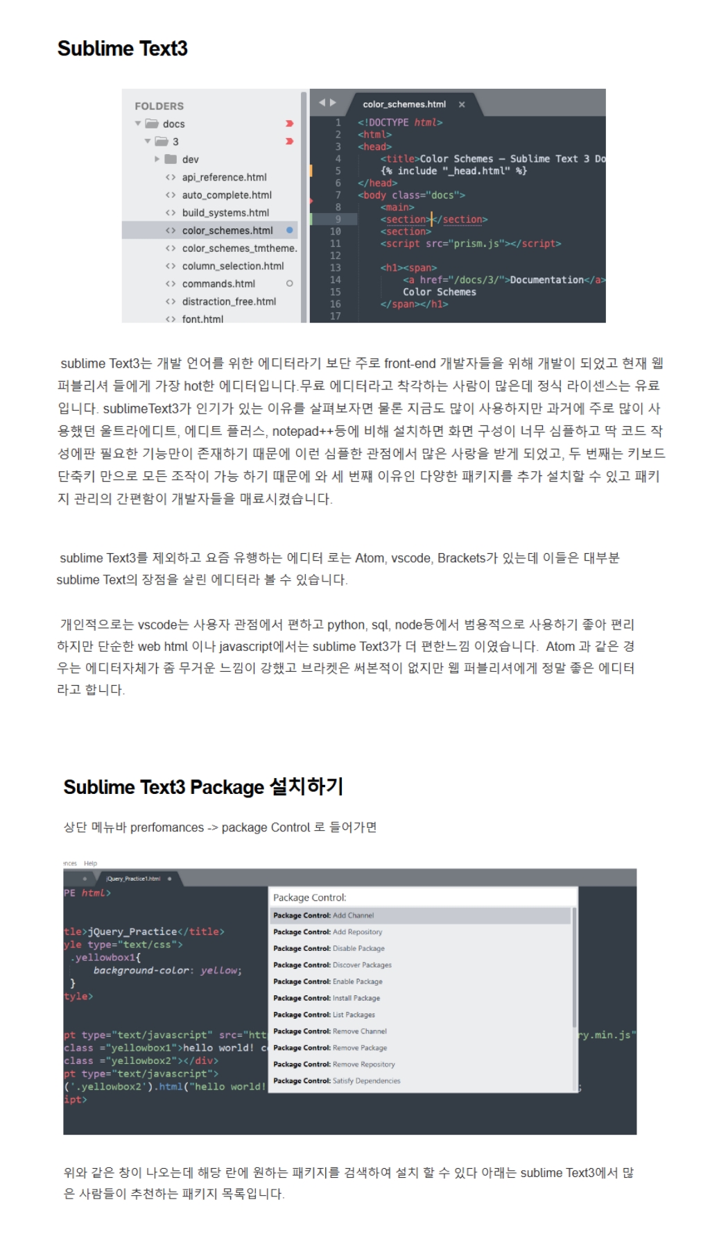 Sublime text3 | 소프트웨어카탈로그