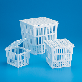 [Tarsons] 플라스틱 시험관망 (W110xD120xH151mm, 6개/BOX, T180010)