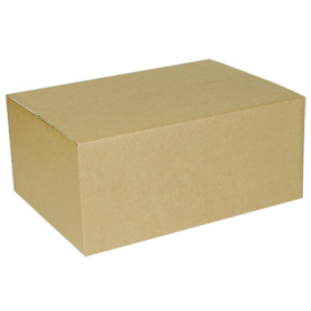 ANBOX [ANBOX] A형 택배 포장박스 (A골/일반SK지/390x286x165mm/40매)